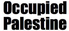 Blog Occupied Palestine